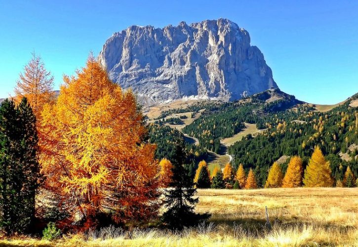 Val di Sole: un territorio alpino da scoprire